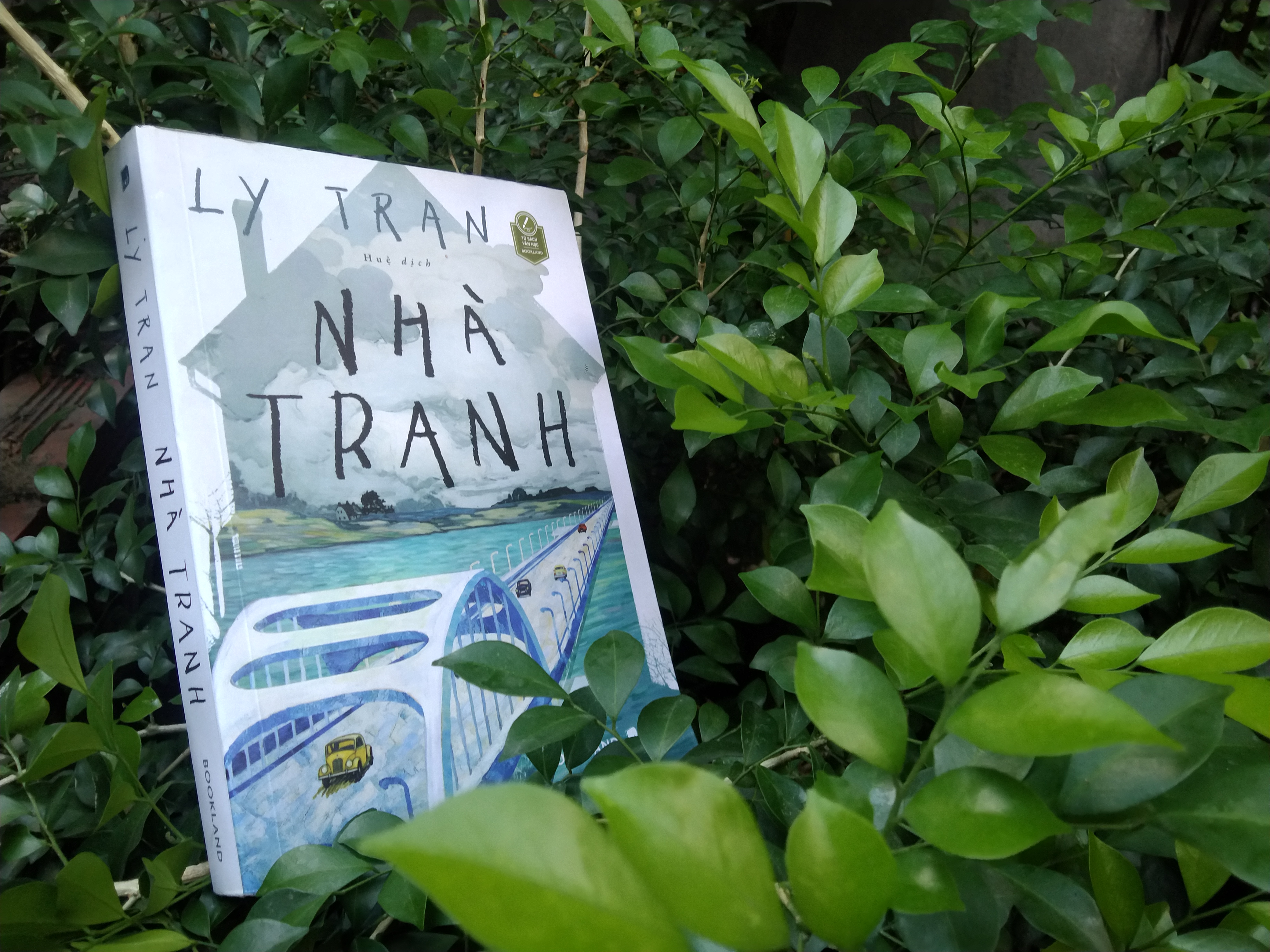 Tôi muốn được thấy mọi thứ rõ ràng